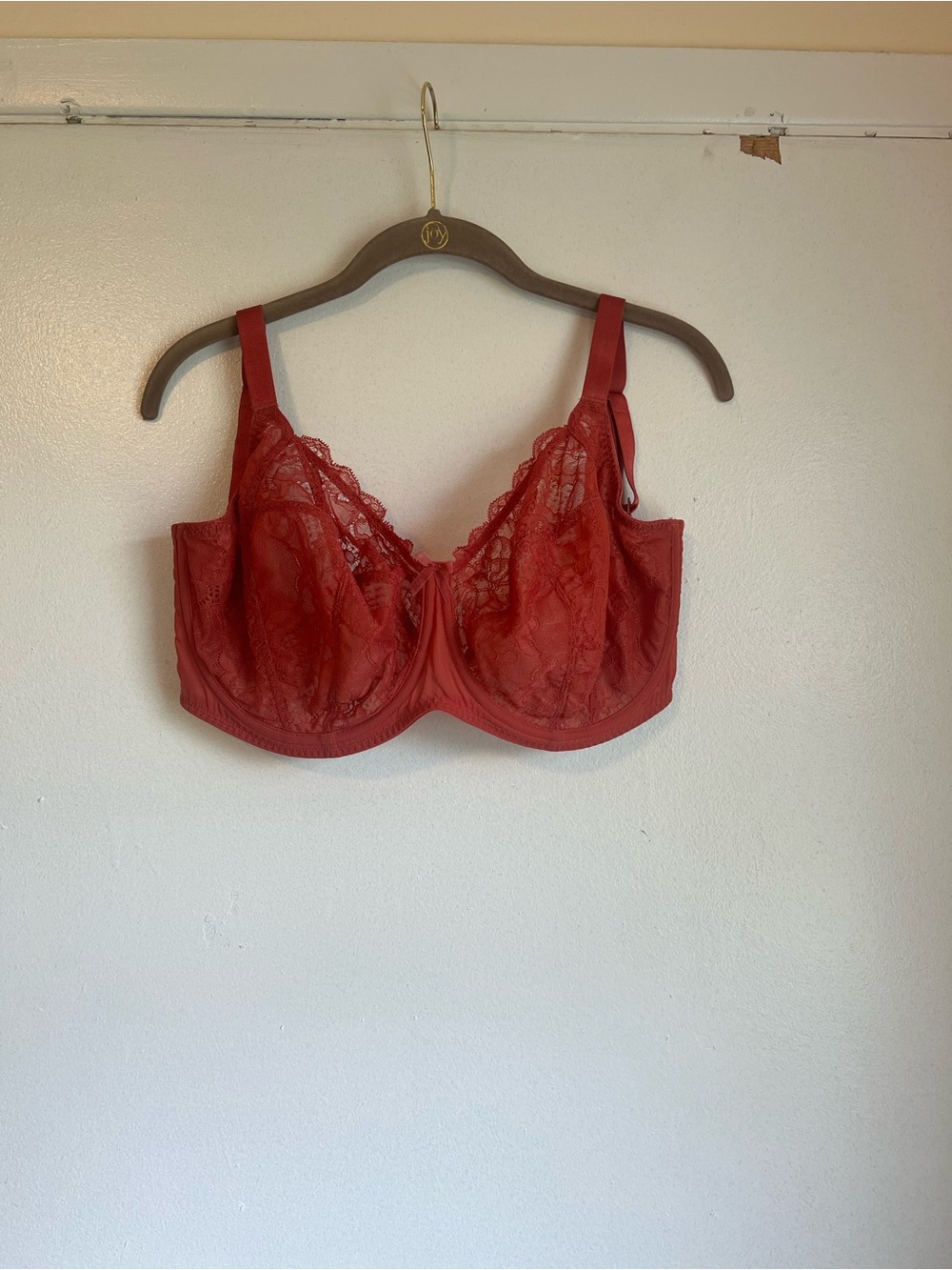Panache Imogen Rust Orange Lace Underwired Full Cup Bra Hook & Eye Size 30J